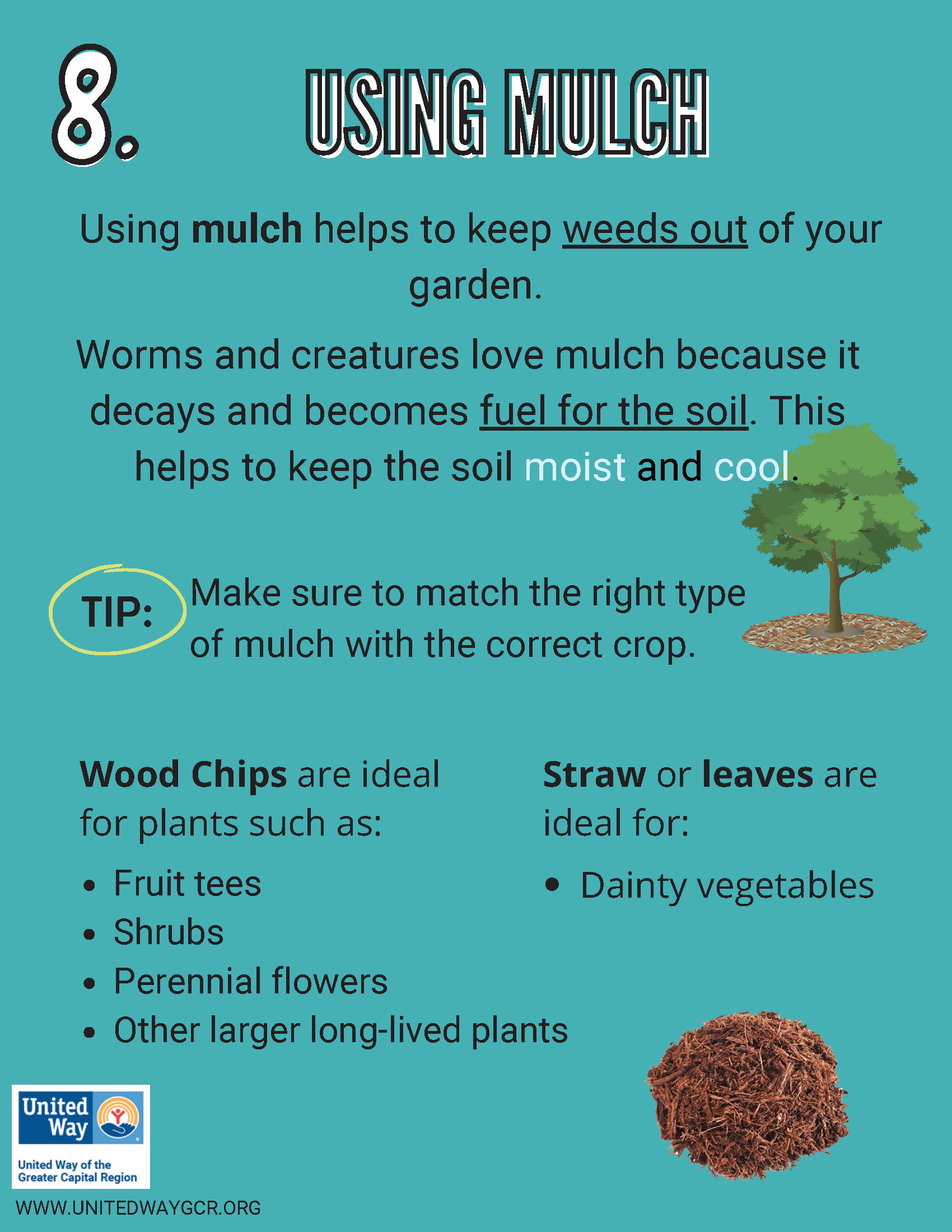 How to Garden