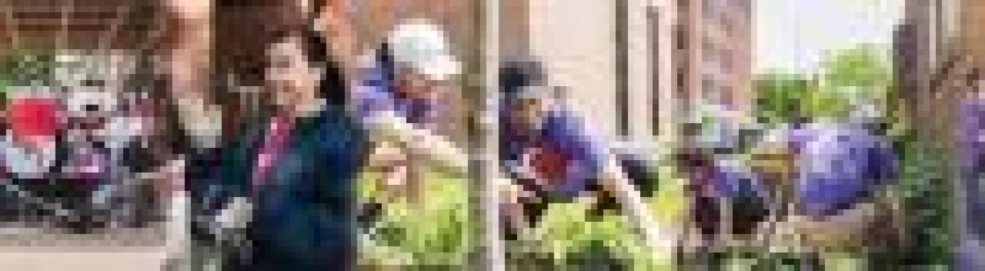 518 Day Project Collage